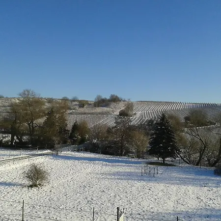 Weingut Hans Bausch Hattenheim